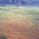 Image for article titled The mysterious fairy circles of Namibia